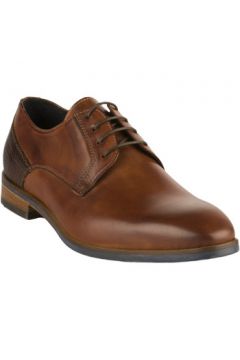 Chaussures First Collective Chaussures à lacets homme - - Marron - 40(127933082)